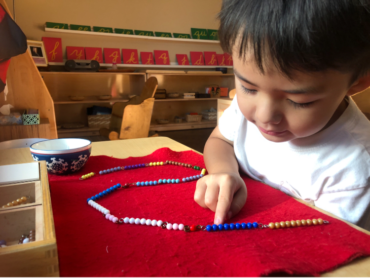 The Montessori Academy of Arlington campus
