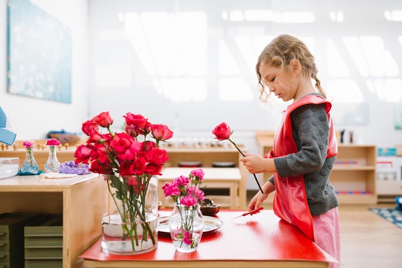 Guidepost Montessori at Westlake - TX campus