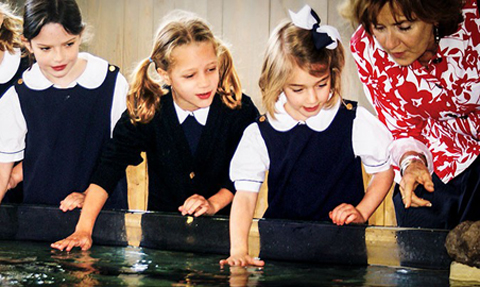 Providence Christian School of Texas campus
